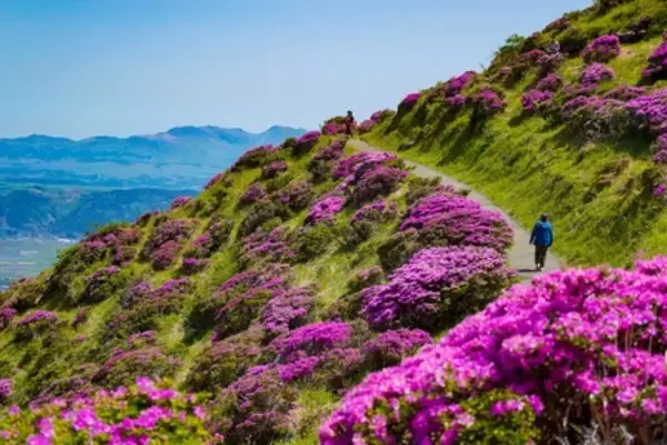 「亀の井ホテル阿蘇 阿蘇の魅力を気軽に楽しむ無料送迎サービス｢ASOネイチャーセレクション｣」の画像