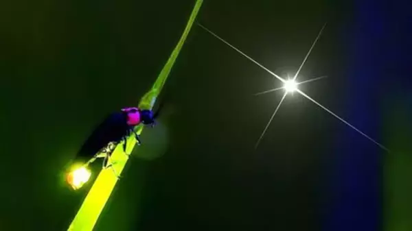 「亀の井ホテル阿蘇 阿蘇の魅力を気軽に楽しむ無料送迎サービス｢ASOネイチャーセレクション｣」の画像