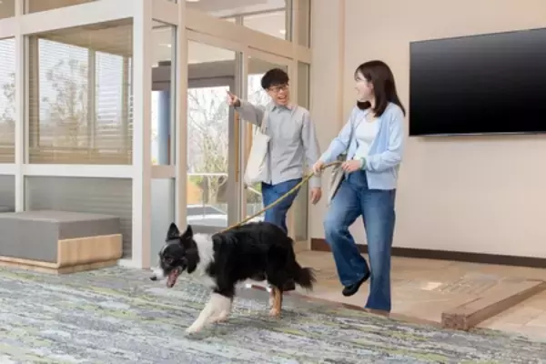 「わんわんパラダイス プレミア 山中湖 愛犬への“おもてなし体験”をさらに充実」の画像