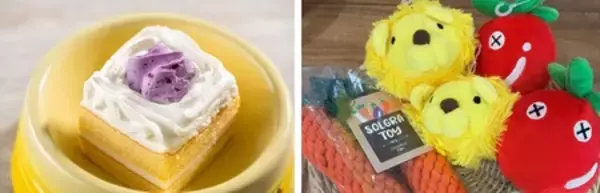 「わんわんパラダイス プレミア 山中湖 愛犬への“おもてなし体験”をさらに充実」の画像