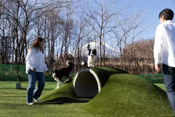 「わんわんパラダイス プレミア 山中湖 愛犬への“おもてなし体験”をさらに充実」の画像