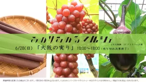 ＪＡ全農×ＪＲ西日本 地域振興プロジェクト ＪＲ大阪駅で大阪の旬が集結