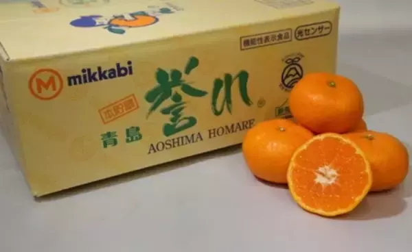 「静岡県のＪＡタウンショップ「しずおか『手しお屋』」で 対象商品が２０％ＯＦＦ！」の画像