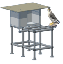 国内大学で初の試みとなるネイチャーポジティブの実践  深草キャンパスにハヤブサ人工巣を設置