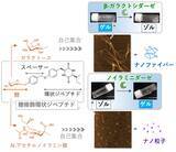 「特定の酵素の作用によって「溶ける／固まる」 新しいゼリー素材を開発 」の画像1