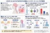 「免疫介在性中枢神経疾患の病態メカニズムを解明」の画像1
