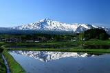 「二地域居住支援サイト「ANAの二地域居住 BLUE SKY LIFE」に秋田県内の6自治体が新たに参画！」の画像10