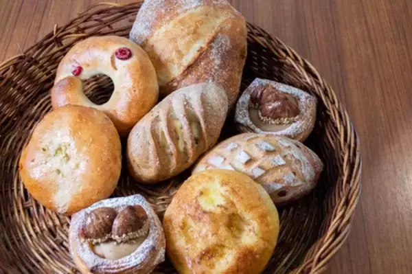 【5月22日開幕】「ビーズと籐の世界2026」開催。瑞原栄米子・殿山照子による独創的な手仕事の粋