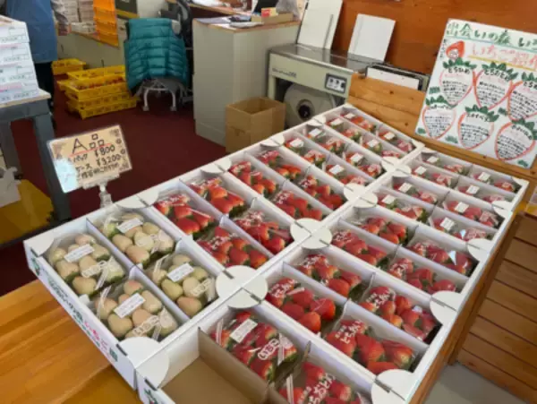 「地域連携による新アクティビティ開始」の画像