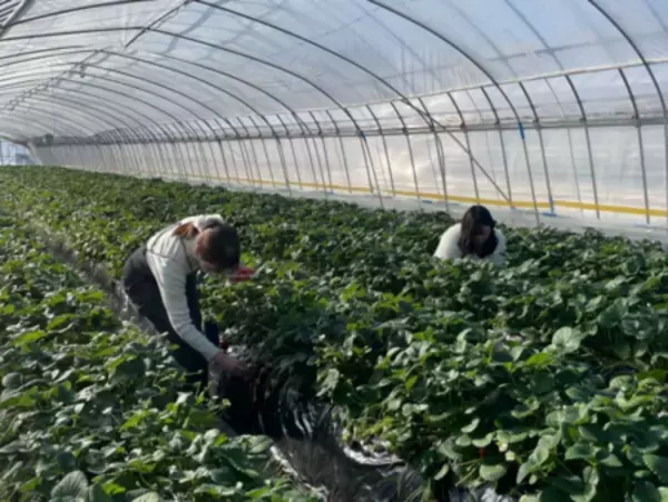 「地域連携による新アクティビティ開始」の画像
