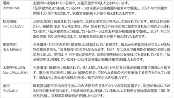 「京都府立植物園に 「伝承樹の苑(でんしょうじゅのその)」 開設」の画像