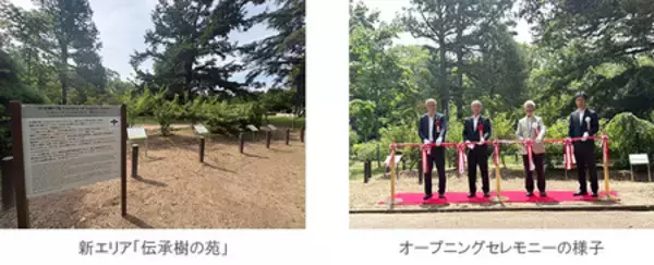 「京都府立植物園に 「伝承樹の苑(でんしょうじゅのその)」 開設」の画像