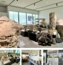 林野火災注意報・林野火災警報の運用が始まります