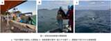 「瀬戸内海燧灘（ひうちなだ）において海底活断層の分布を明らかに」の画像2