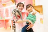 「屋内型ふれあい動物園 『アニタッチ OSAKA なんば』」の画像4