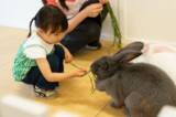 「屋内型ふれあい動物園 『アニタッチ OSAKA なんば』」の画像5