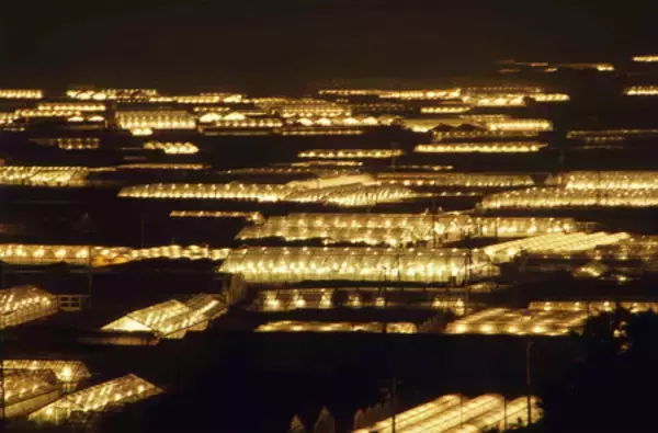 「伊良湖オーシャンリゾート 渥美半島の恵みを満喫する「体験ツアー型アクティビティ」がさらに充実」の画像