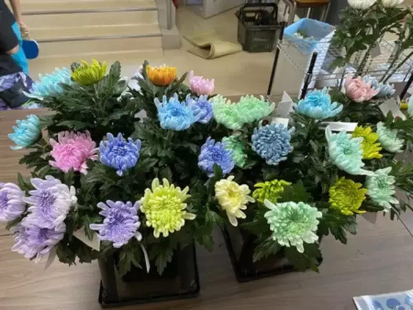 「伊良湖オーシャンリゾート 渥美半島の恵みを満喫する「体験ツアー型アクティビティ」がさらに充実」の画像