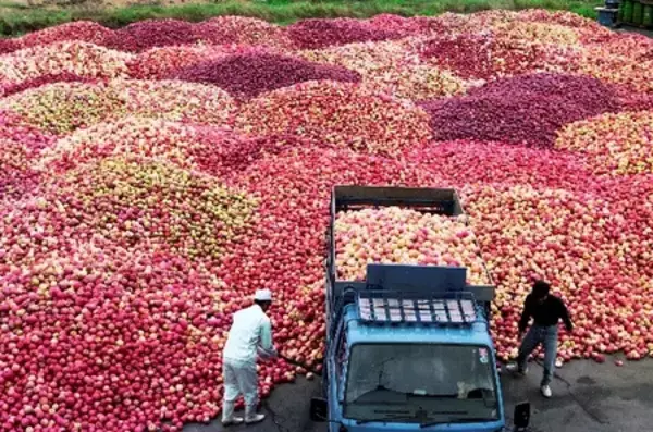 「報道写真展・定点観測者としての通信社 「食の戦後史―飢餓、飽食、美食―」 開催のお知らせ」の画像