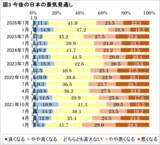 「AI導入率は企業規模で大差、テレワーク実施率は過去最低の14.5％に」の画像2