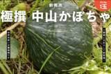 「ホクホク食感と豊かな甘みが魅力　栃木県の希少なブランド野菜 「中山かぼちゃ」をＪＡタウンで販売開始！」の画像1