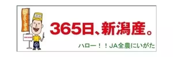 産地直送通販サイト「ＪＡタウン」の新潟県「ハロー！！ＪＡ全農にいがた」で 対象商品が２０％ＯＦＦ！