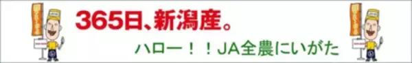 「産地直送通販サイト「ＪＡタウン」の新潟県「ハロー！！ＪＡ全農にいがた」で 対象商品が２０％ＯＦＦ！」の画像