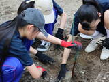 「明治、長野県上田市の「ヘーゼルナッツの森」植樹式に参加」の画像2