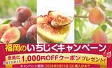 「JAタウンの博多うまかショップでなめらか&プチプチ食感をお得に楽しめる福岡いちじくキャンペーンを実施中」の画像1