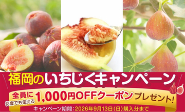 JAタウンの博多うまかショップでなめらか&プチプチ食感をお得に楽しめる福岡いちじくキャンペーンを実施中