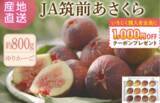 「JAタウンの博多うまかショップでなめらか&プチプチ食感をお得に楽しめる福岡いちじくキャンペーンを実施中」の画像3