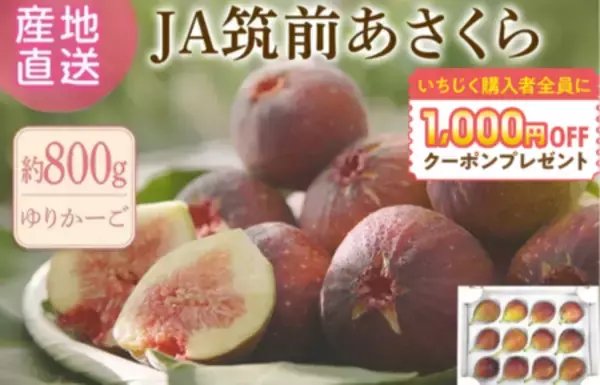 「JAタウンの博多うまかショップでなめらか&プチプチ食感をお得に楽しめる福岡いちじくキャンペーンを実施中」の画像