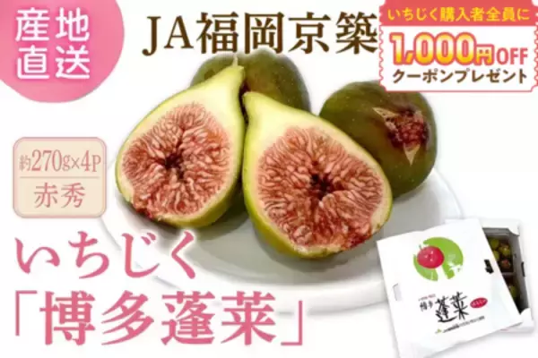 「JAタウンの博多うまかショップでなめらか&プチプチ食感をお得に楽しめる福岡いちじくキャンペーンを実施中」の画像
