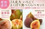 「JAタウンの博多うまかショップでなめらか&プチプチ食感をお得に楽しめる福岡いちじくキャンペーンを実施中」の画像5