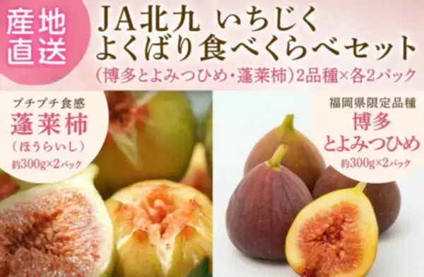 「JAタウンの博多うまかショップでなめらか&プチプチ食感をお得に楽しめる福岡いちじくキャンペーンを実施中」の画像
