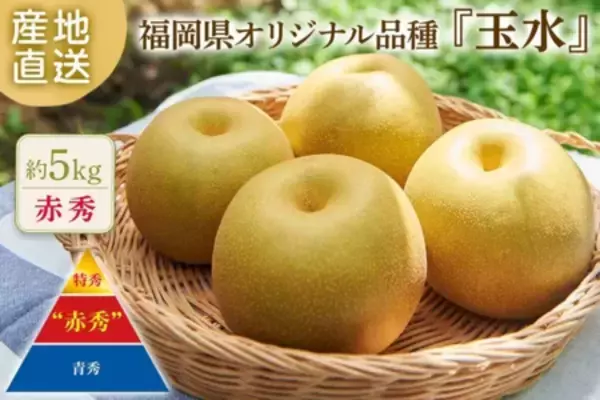 「JAタウンの博多うまかショップでなめらか&プチプチ食感をお得に楽しめる福岡いちじくキャンペーンを実施中」の画像