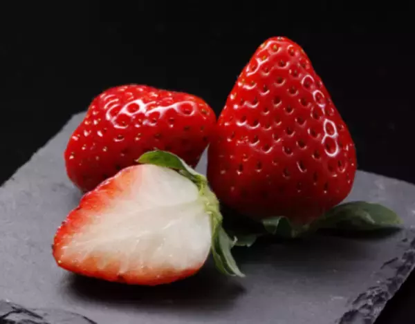 「ＪＡ全農が ＪＲ大阪駅で「みのりみのるマルシェ 大分の実り｣を ２月１１日に開催」の画像