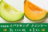 「産地直送通販サイト「ＪＡタウン」で 茨城県「ＧＷ限定 メロン特価キャンペーン」開催中」の画像5