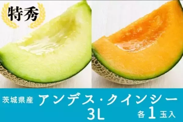 「産地直送通販サイト「ＪＡタウン」で 茨城県「ＧＷ限定 メロン特価キャンペーン」開催中」の画像