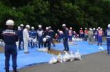 「令和８年度 尼崎市職員による尼崎市水防工法訓練について」の画像3