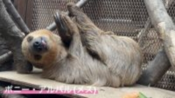 【宇都宮動物園】 園内初となる室内展示場を開設