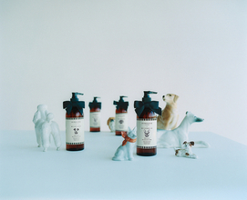 Jo Malone London×WildWashのドッグシャンプーをご紹介