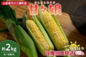 山梨県産とうもろこし「甘々娘」を産地直送通販サイト「ＪＡタウン」で予約販売中！
