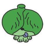 「Otafukuグループ2026年春夏新商品「フルビネ サングリア風」「焼うどんの素」「ポイッともんじゃ(キムチ)」」の画像14