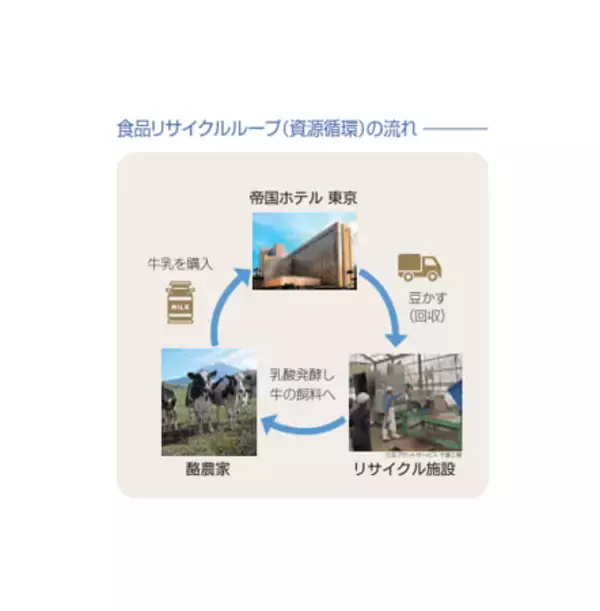 「食品ロス削減の啓発イベント 「mottECO FESTA（モッテコフェスタ）2026」に参加」の画像