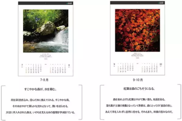 「第77回 全国カレンダー展 金賞と特別賞を受賞 2026年オリジナルカレンダー「住友林業の森」」の画像