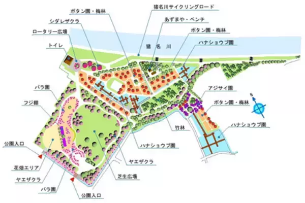 「尼崎市農業公園　梅の花が見頃を迎えます」の画像