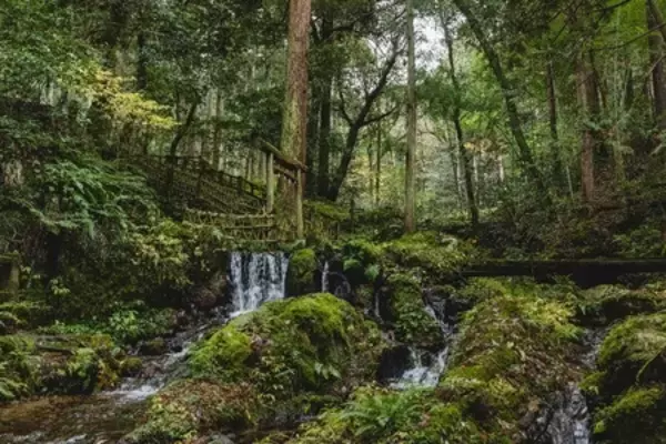「［福井県］若狭・敦賀エリアの魅力あふれるドライブマップを公開！敦賀駅開業により広がる“福井の奥行き”」の画像