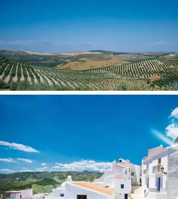 「「DHC オリーブ バージンオイル」が、初の”アロマ仕様“で登場！」の画像