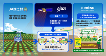人工衛星データに基づく予測でキャベツの広告・店頭販促を連動　首都圏・関西の量販店 約50店舗で順次開始